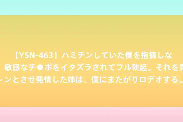 【YSN-463】ハミチンしていた僕を指摘しながらも含み笑いを浮かべ、敏感なチ●ポをイタズラされてフル勃起。それを見て目をトロ～ンとさせ発情した姉は、僕にまたがりロデオする。 太平洋产险旗下两公司共计被罚100万