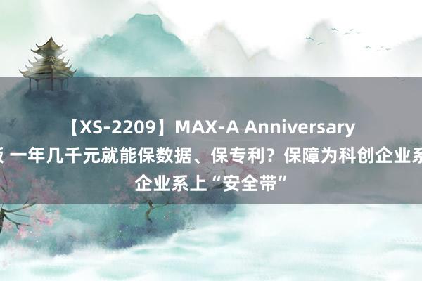 【XS-2209】MAX-A Anniversary 超永久保存版 一年几千元就能保数据、保专利？保障为科创企业系上“安全带”