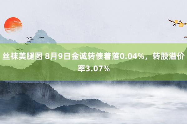 丝袜美腿图 8月9日金诚转债着落0.04%，转股溢价率3.07%