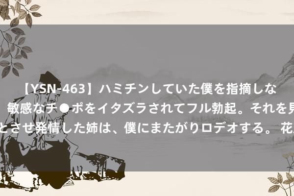 【YSN-463】ハミチンしていた僕を指摘しながらも含み笑いを浮かべ、敏感なチ●ポをイタズラされてフル勃起。それを見て目をトロ～ンとさせ発情した姉は、僕にまたがりロデオする。 花旗摩通料好意思联储本年两度减息各降0.5%