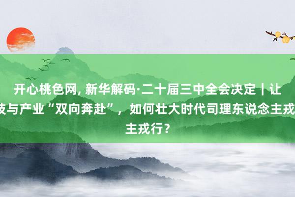 开心桃色网， 新华解码·二十届三中全会决定｜让科技与产业“双向奔赴”，如何壮大时代司理东说念主戎行？