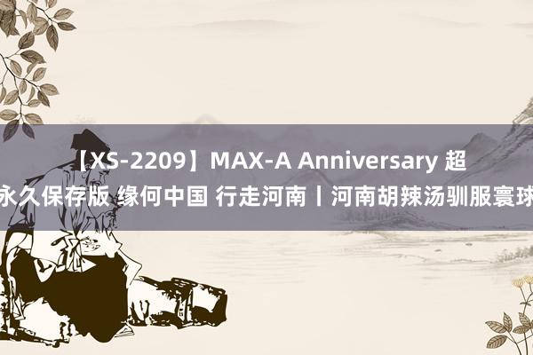 【XS-2209】MAX-A Anniversary 超永久保存版 缘何中国 行走河南丨河南胡辣汤驯服寰球