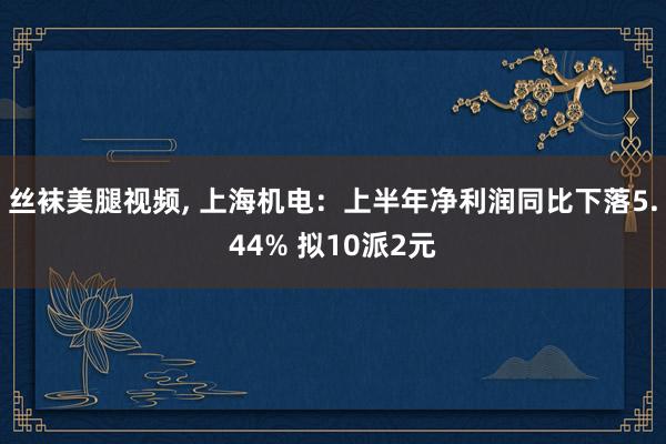 丝袜美腿视频， 上海机电：上半年净利润同比下落5.44% 拟10派2元