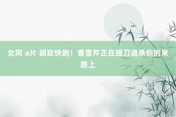 女同 a片 胡玫快跑！曹雪芹正在提刀追杀你的来路上