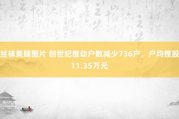 丝袜美腿图片 创世纪推动户数减少736户，户均捏股11.35万元