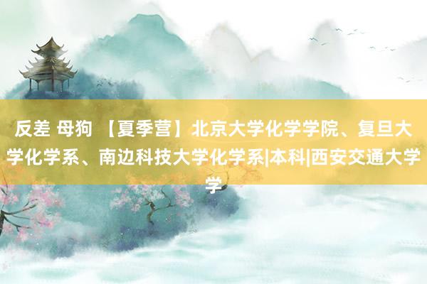 反差 母狗 【夏季营】北京大学化学学院、复旦大学化学系、南边科技大学化学系|本科|西安交通大学