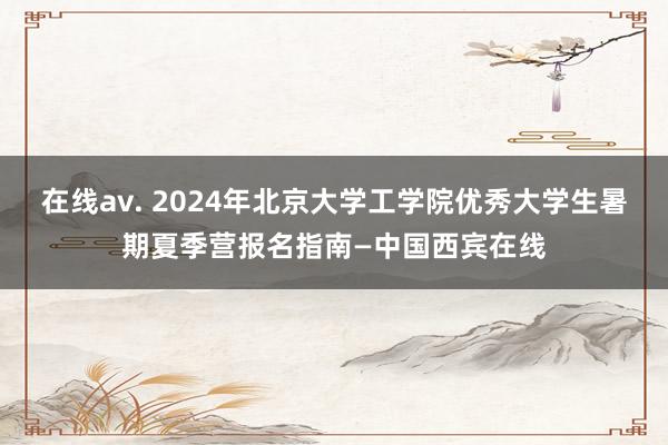 在线av. 2024年北京大学工学院优秀大学生暑期夏季营报名指南—中国西宾在线