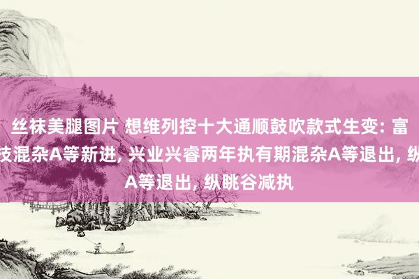 丝袜美腿图片 想维列控十大通顺鼓吹款式生变: 富国更正科技混杂A等新进, 兴业兴睿两年执有期混杂A等退出, 纵眺谷减执